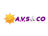 A.V.S & CO