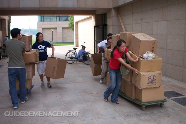 Évitez le chaos en organisant bien les cartons de déménagement