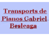 Transport Gabriel Besleaga