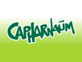 Capharnaüm